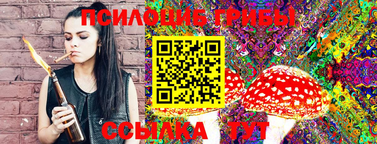 Псилоцибиновые грибы мицелий  как найти закладки  Нижний Тагил  Вход с VPN 